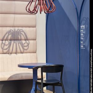 Zdjęcie galerii nr 5