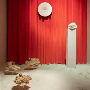 Zdjęcie galerii nr 4