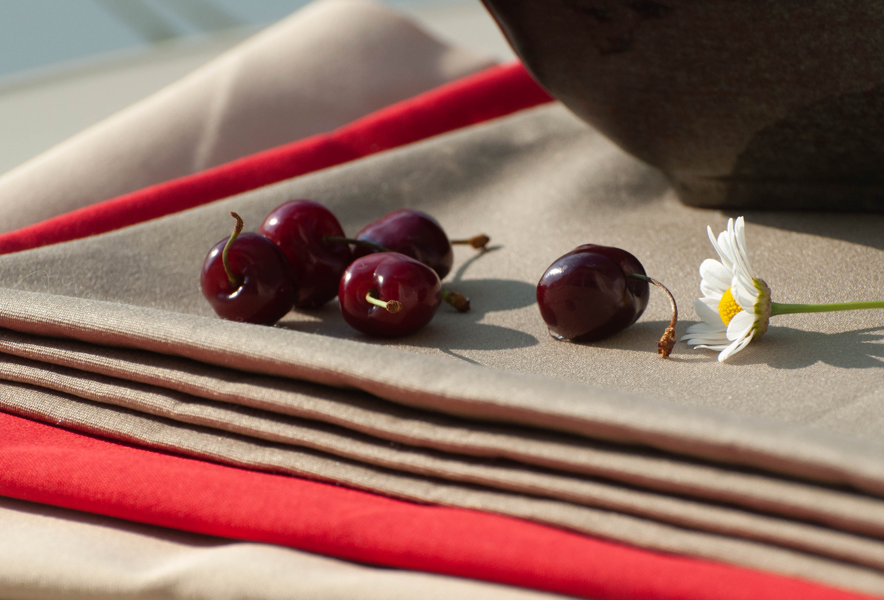 Zdjęcie galerii nr 6