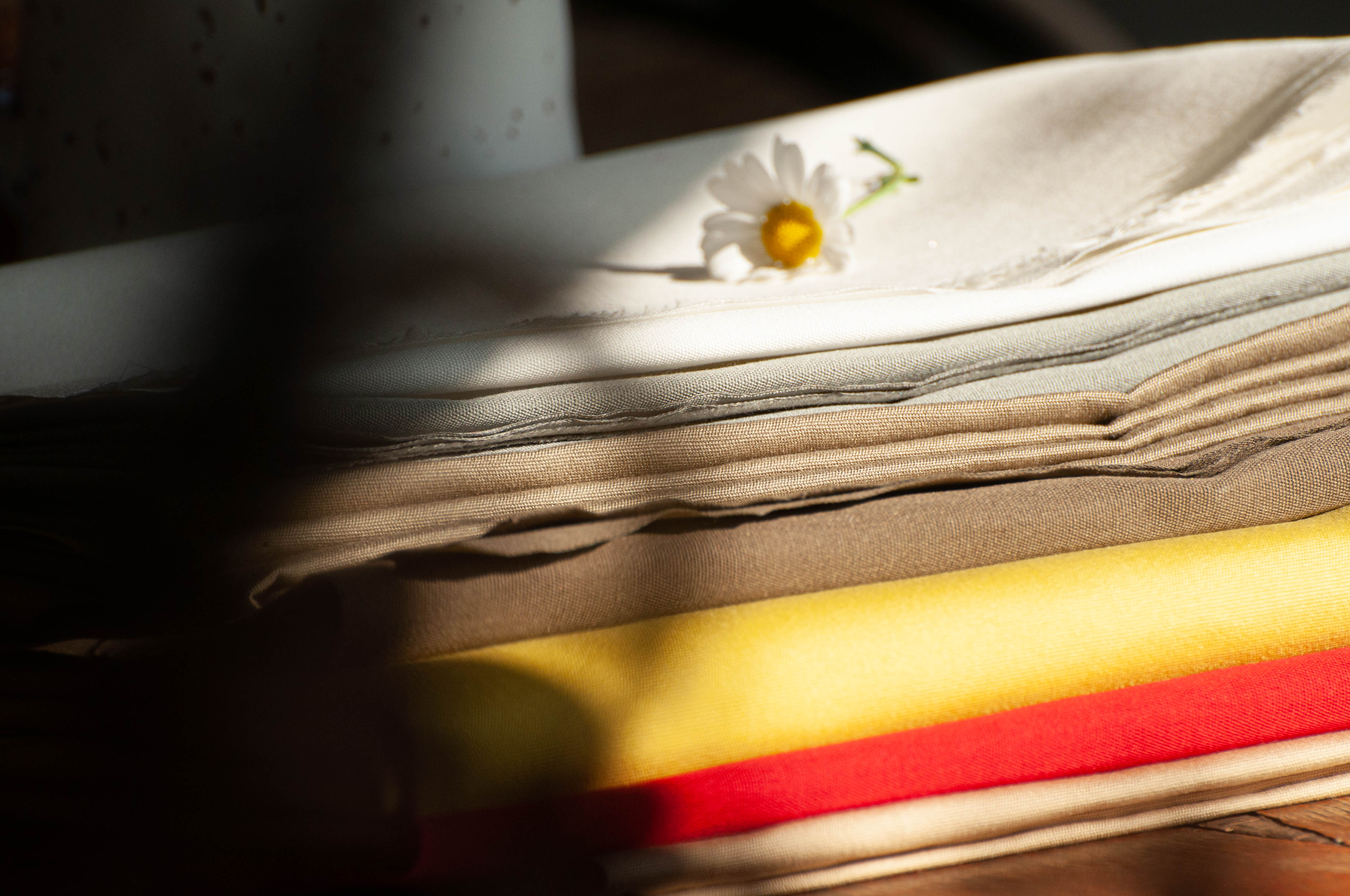 Zdjęcie galerii nr 7