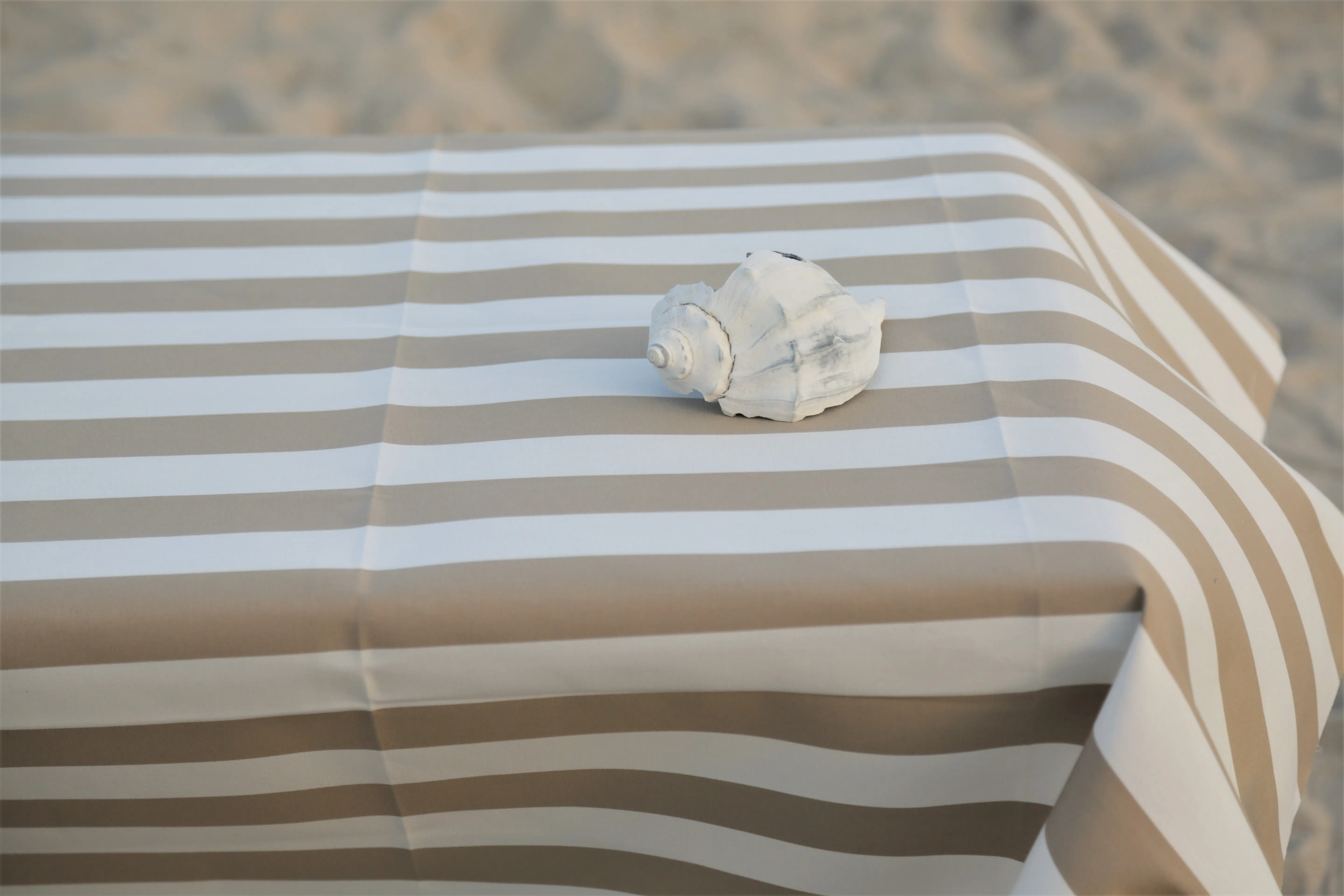 Zdjęcie galerii nr 6