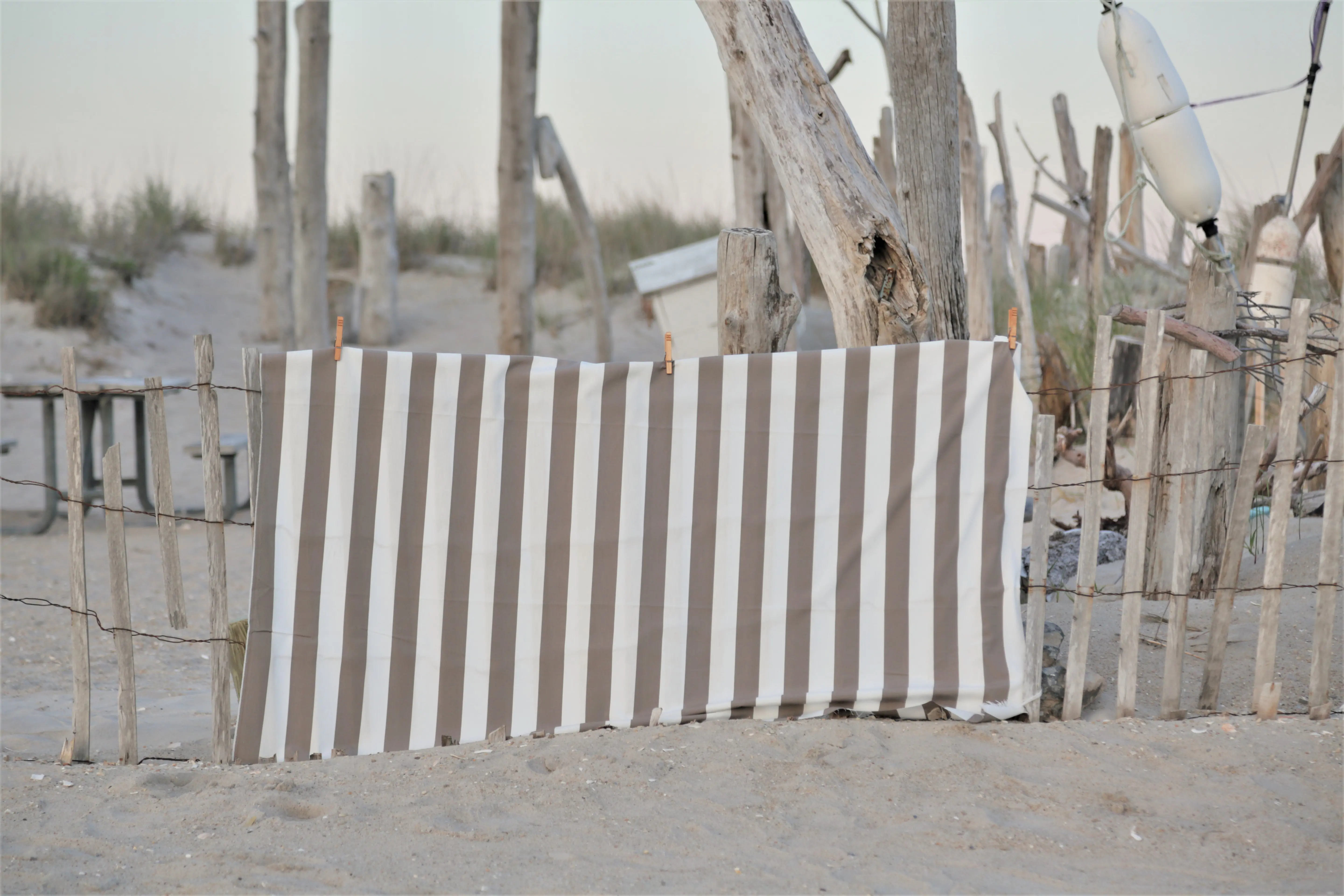 Zdjęcie galerii nr 7