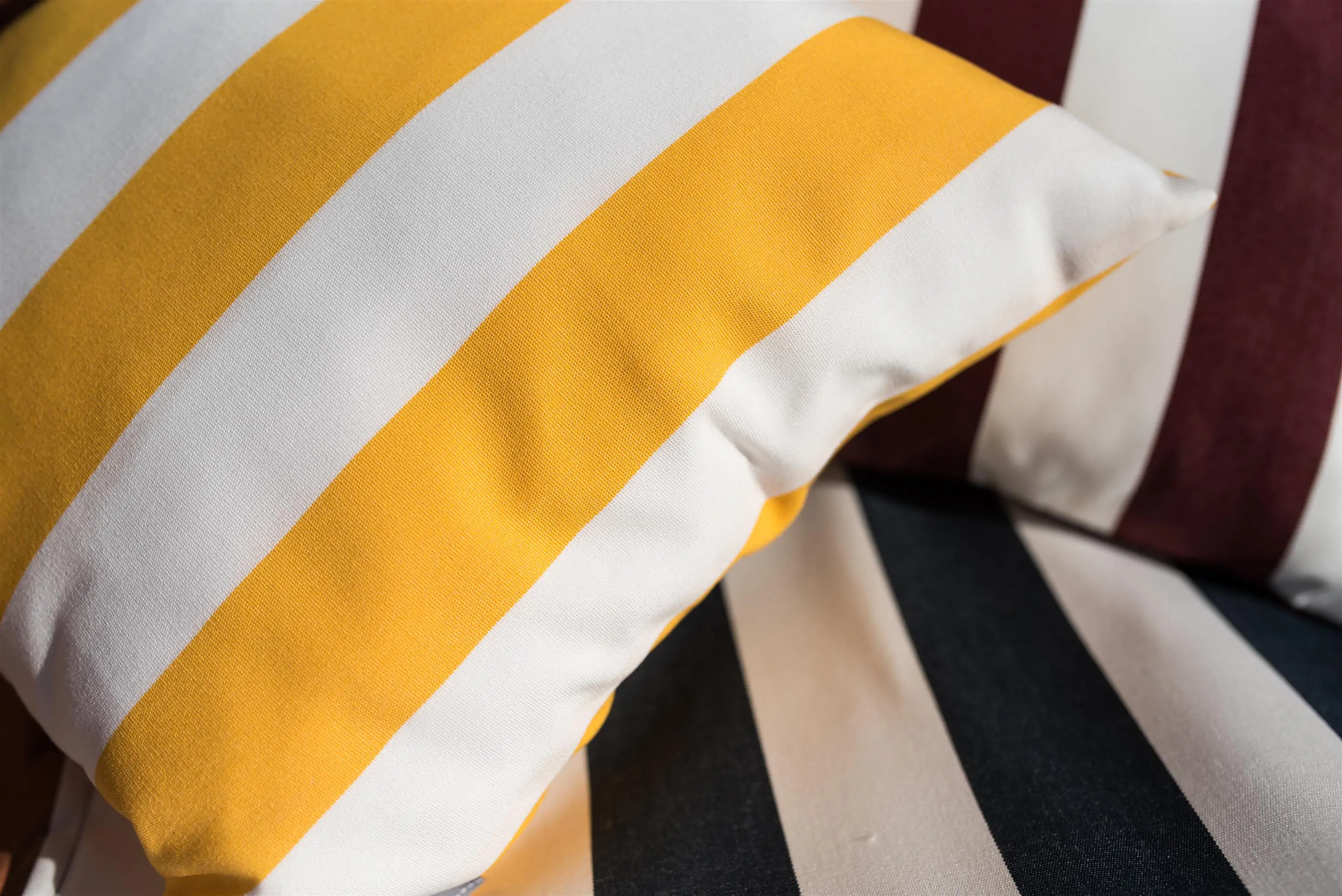 Zdjęcie galerii nr 3