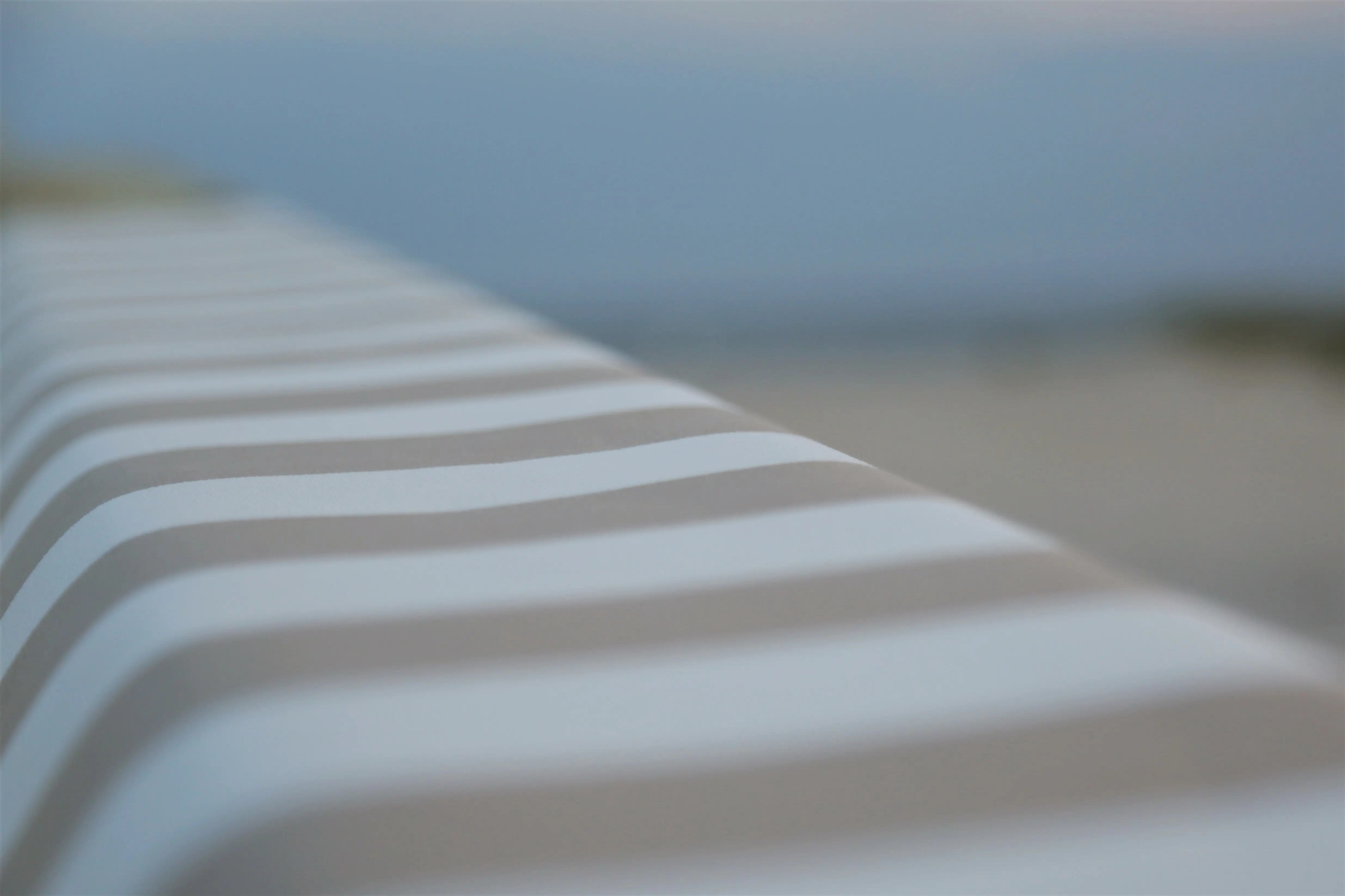 Zdjęcie galerii nr 8