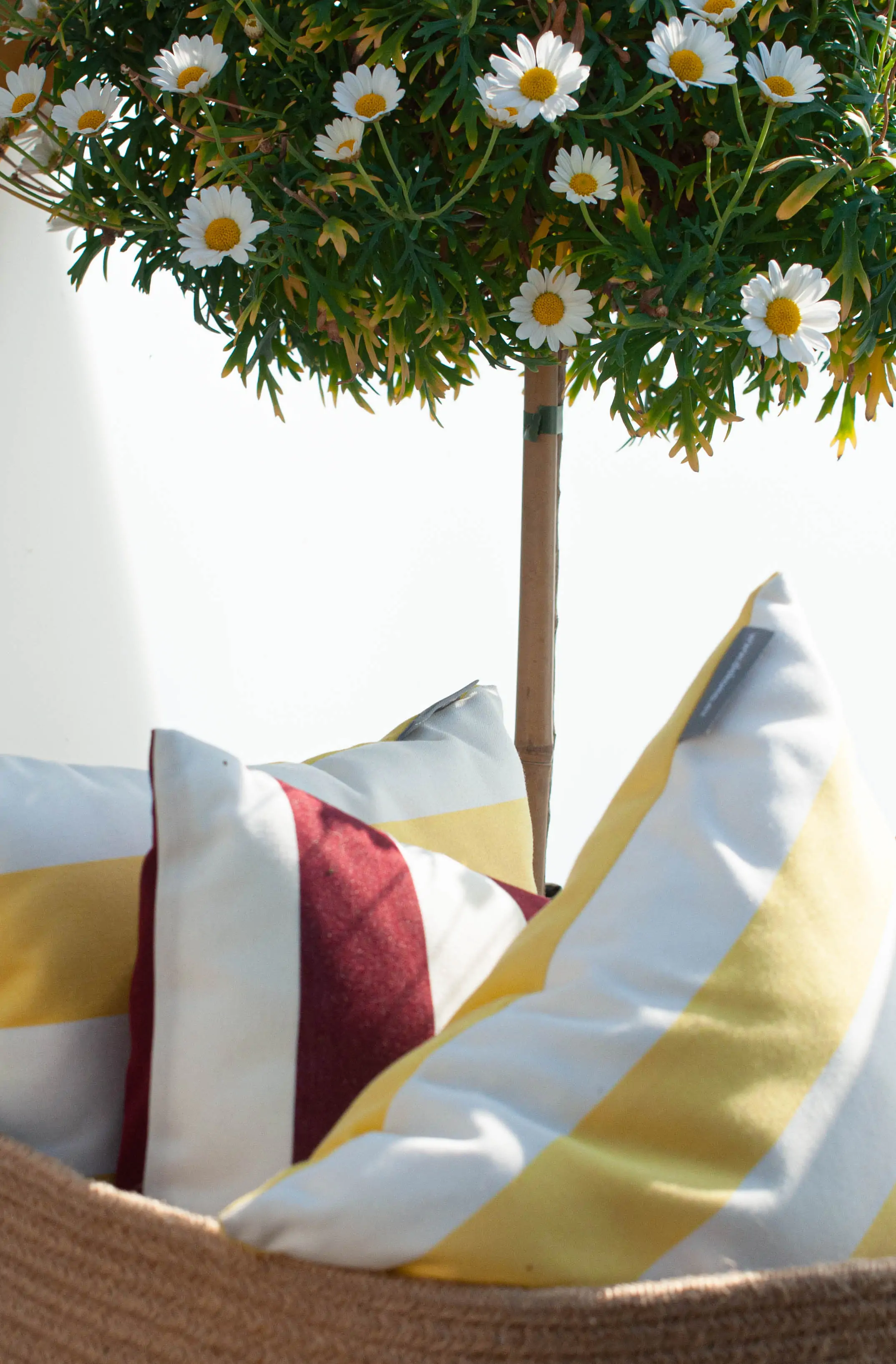 Zdjęcie galerii nr 29