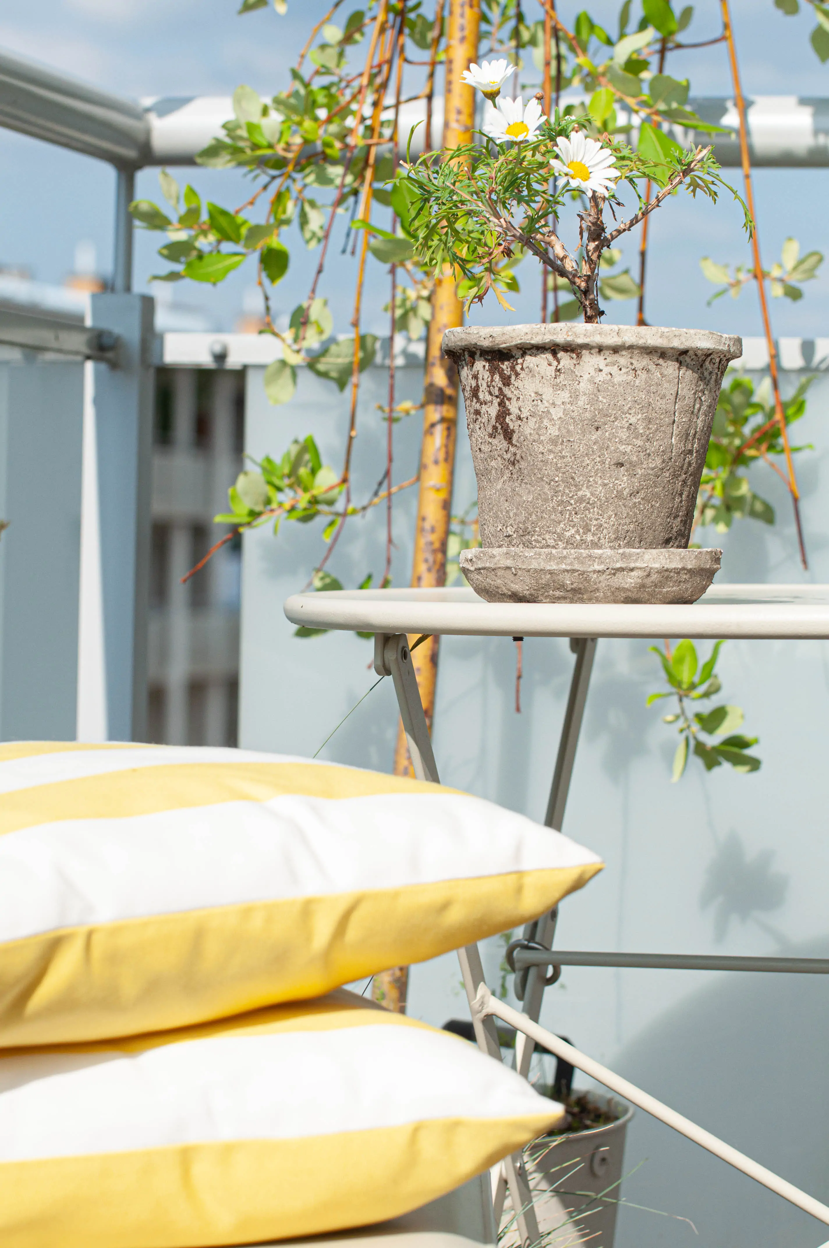 Zdjęcie galerii nr 26