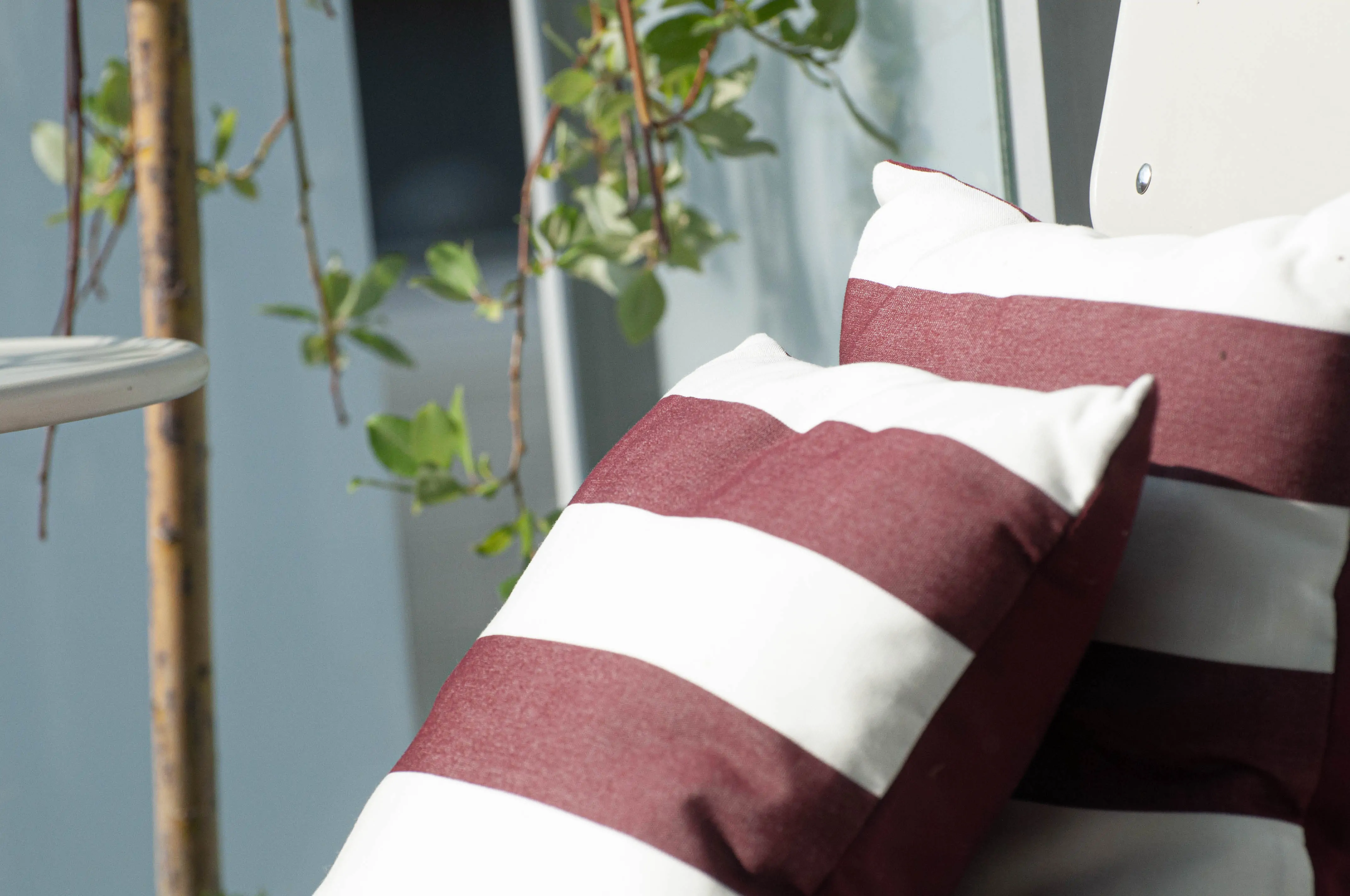 Zdjęcie galerii nr 31