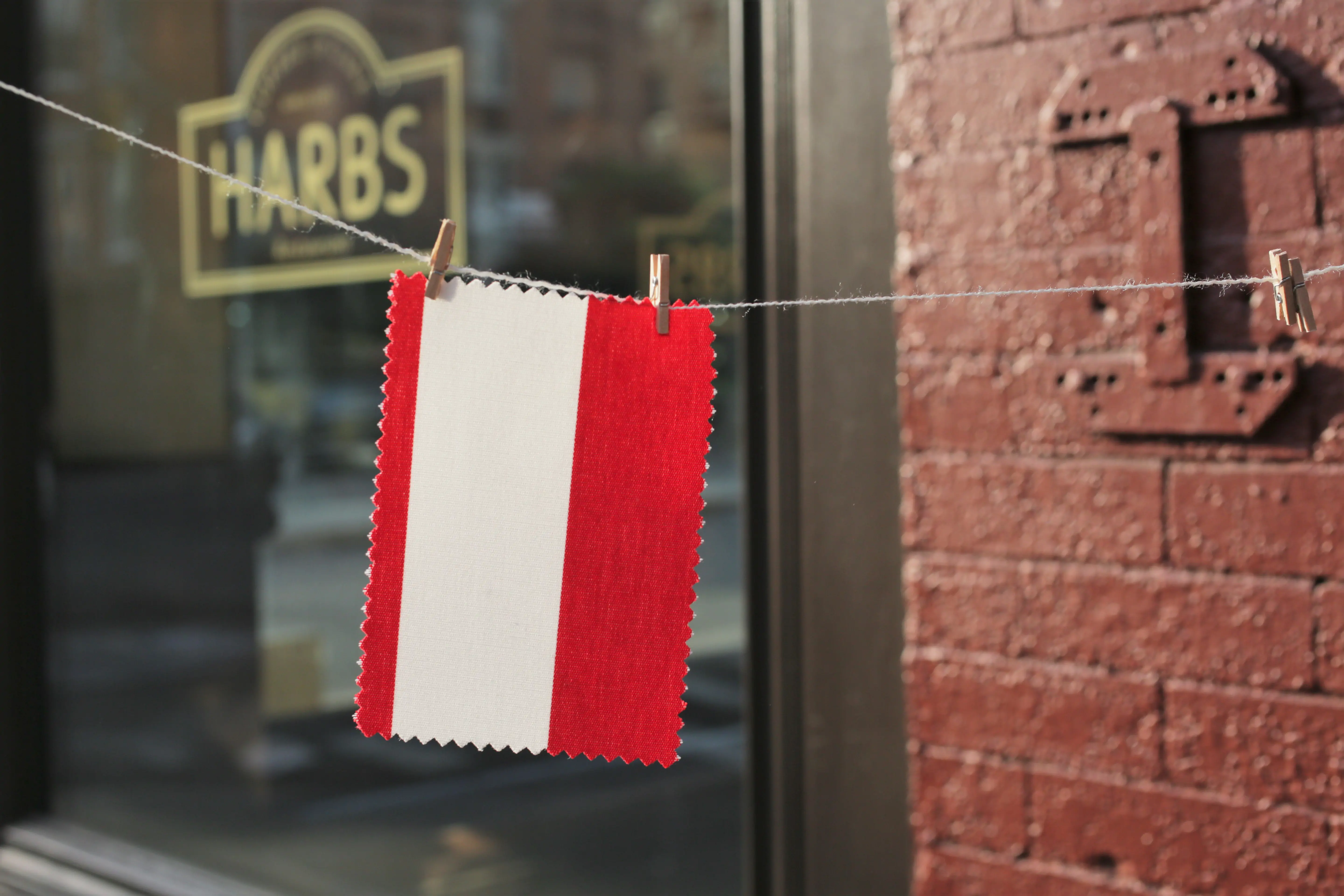 Zdjęcie galerii nr 14