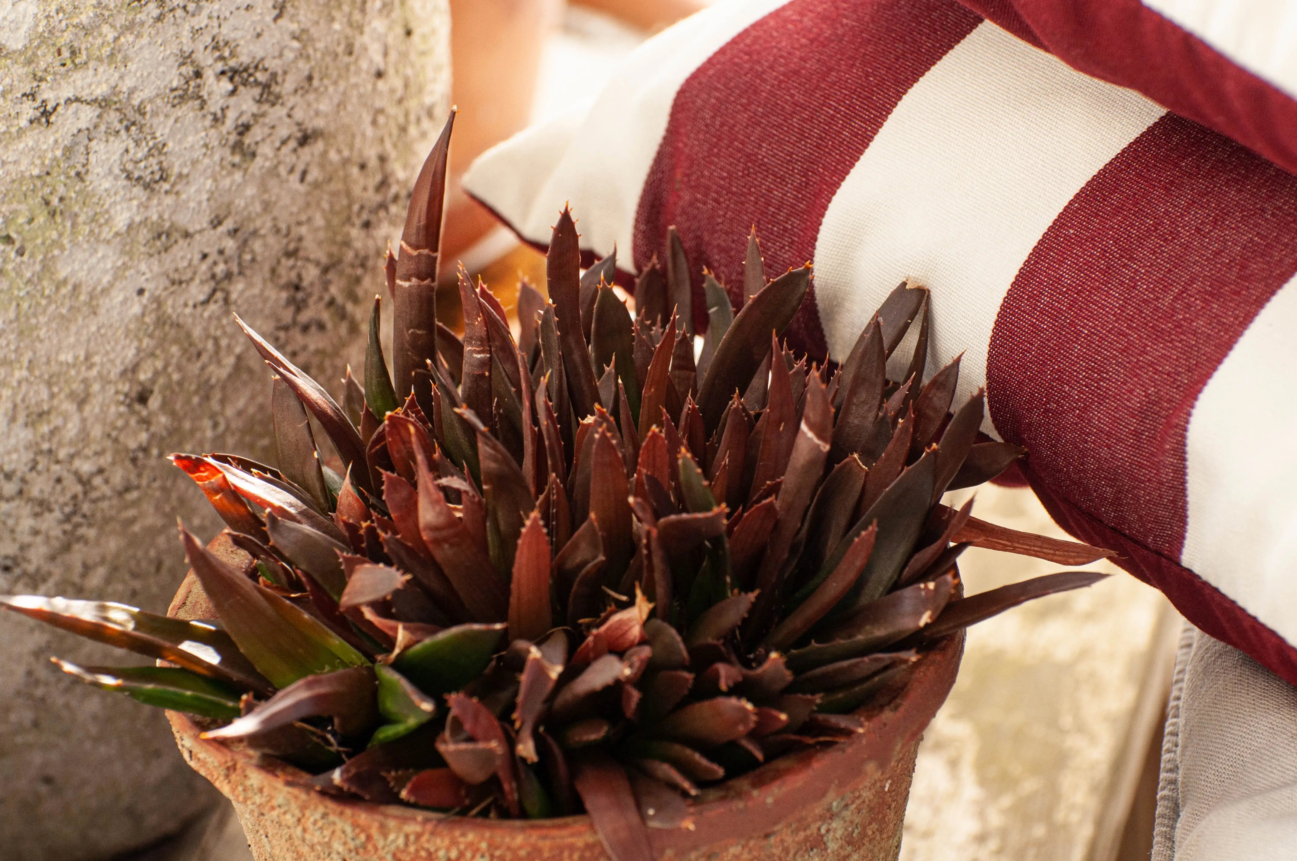 Zdjęcie galerii nr 28