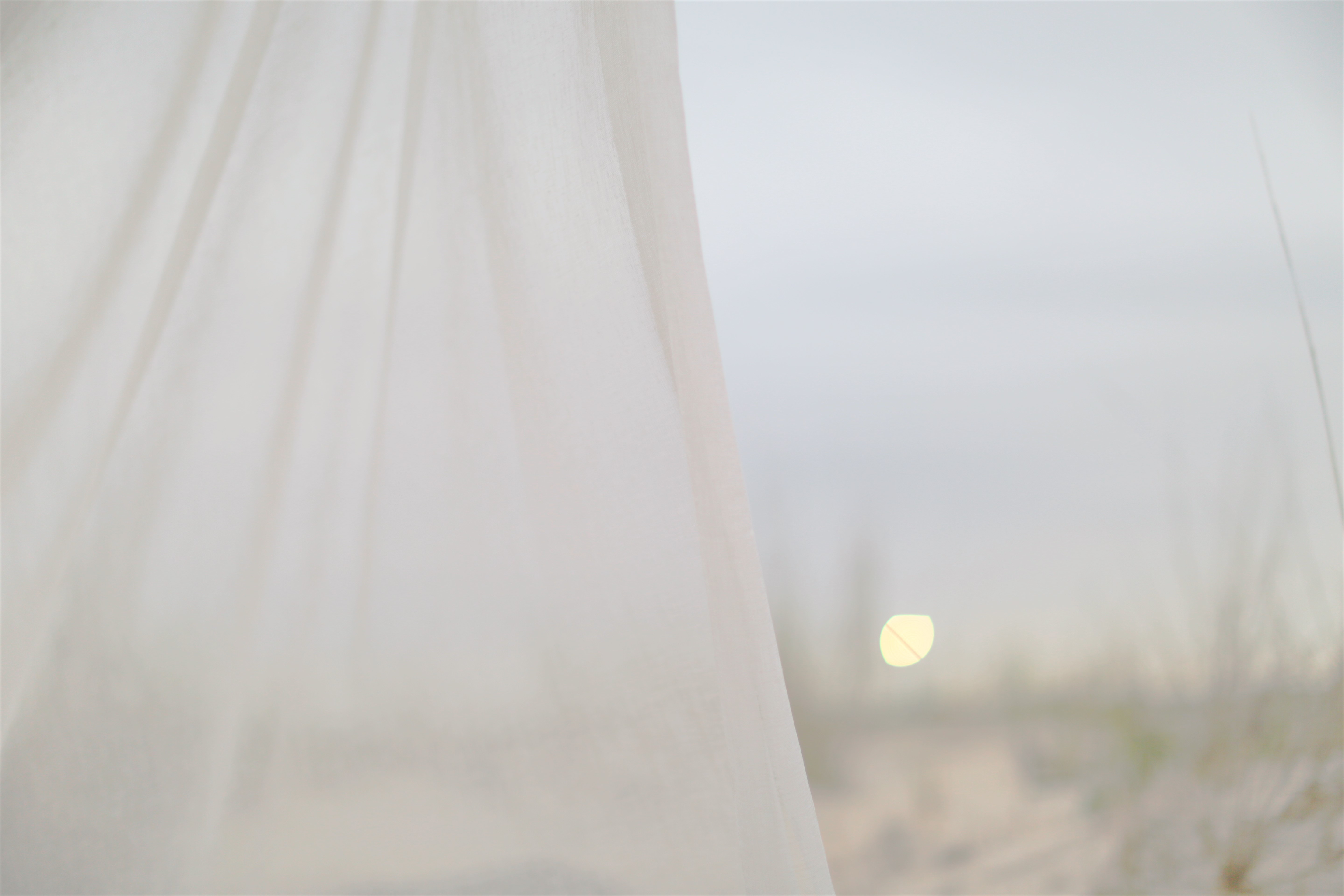 Zdjęcie galerii nr 7