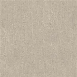 Zdjęcie galerii nr 1