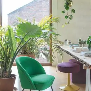 Zdjęcie galerii nr 3