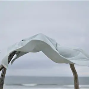 Zdjęcie galerii nr 8