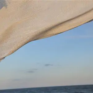 Zdjęcie galerii nr 6