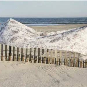 Zdjęcie galerii nr 5