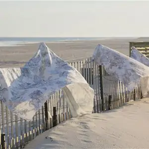 Zdjęcie galerii nr 6