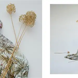 Zdjęcie galerii nr 8