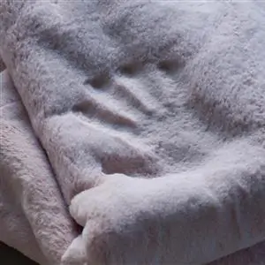 Zdjęcie galerii nr 13