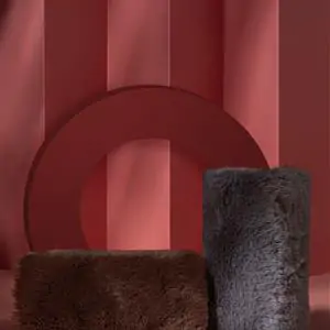 Zdjęcie galerii nr 14