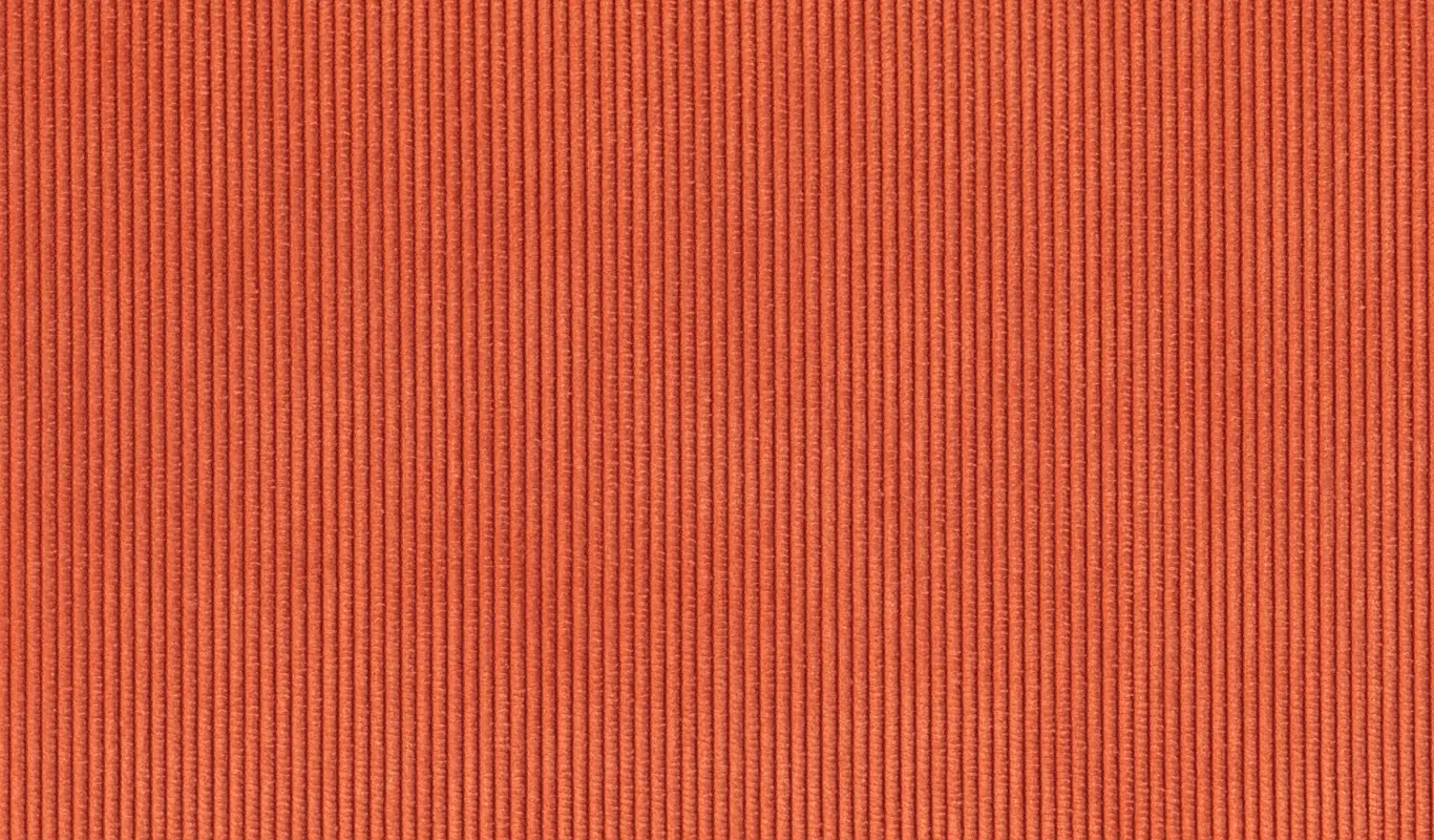 Zdjęcie galerii nr 1