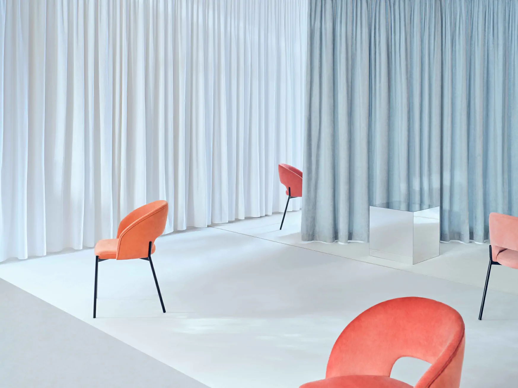 Zdjęcie galerii nr 8