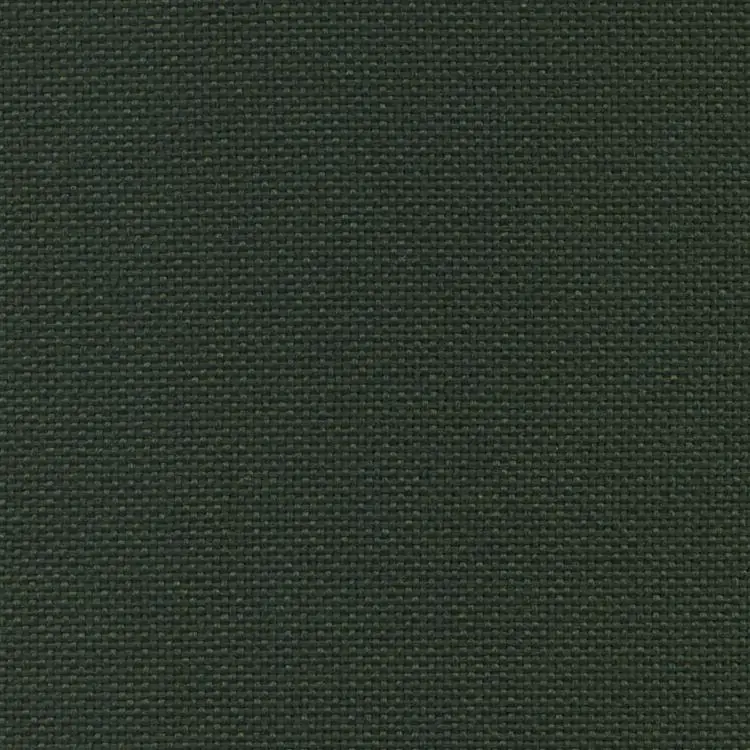 TRENZA  -
