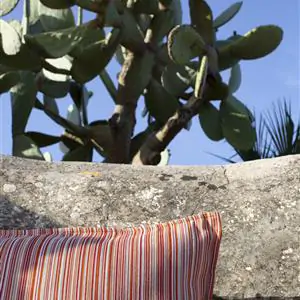 Zdjęcie galerii nr 8