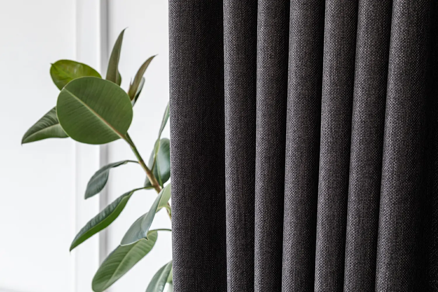 Zdjęcie galerii nr 2