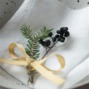 Zdjęcie galerii nr 9