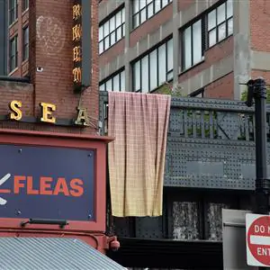 Zdjęcie galerii nr 2