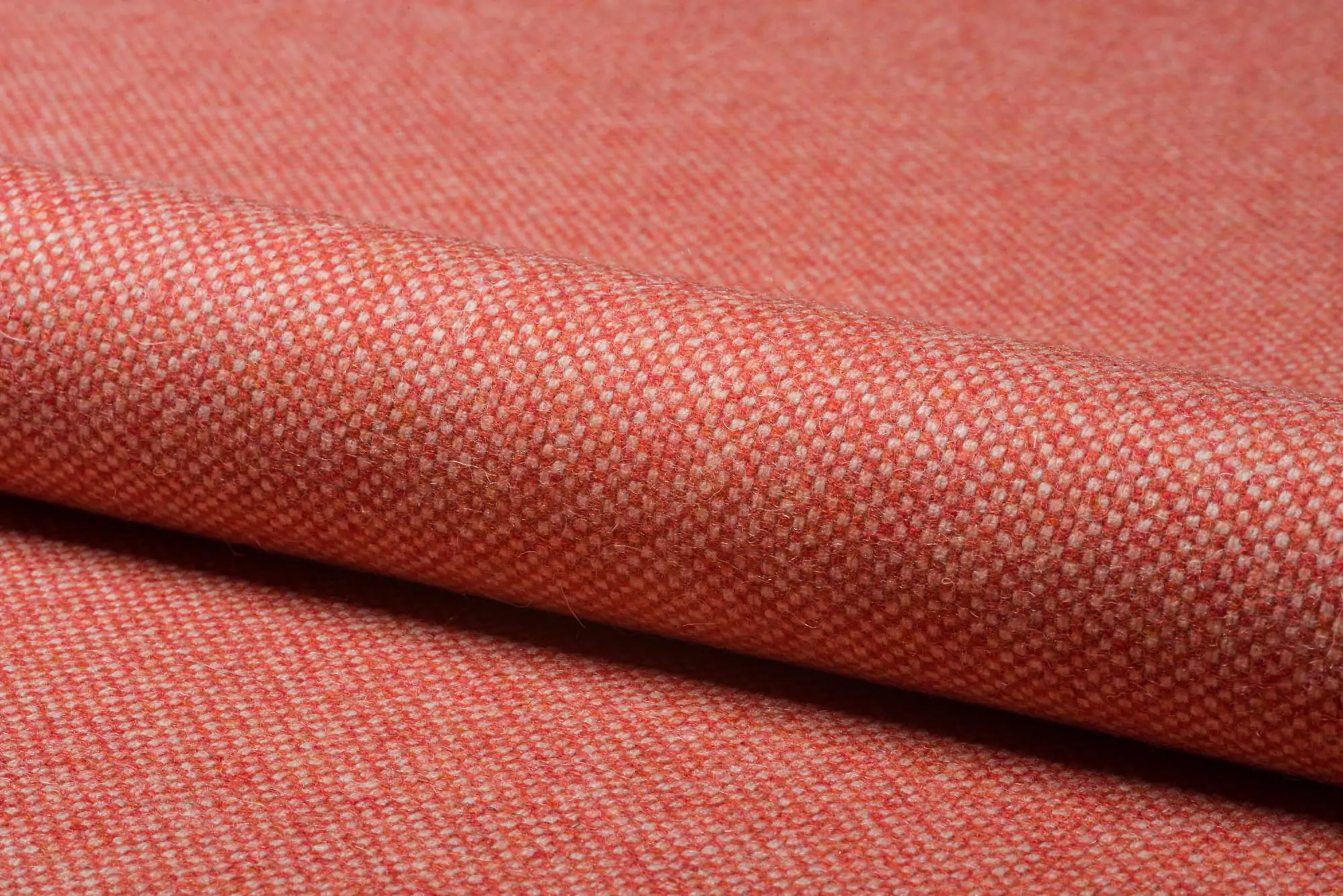 Zdjęcie galerii nr 1