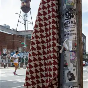 Zdjęcie galerii nr 5