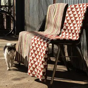 Zdjęcie galerii nr 4