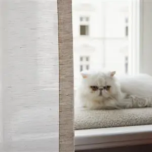 Zdjęcie galerii nr 5