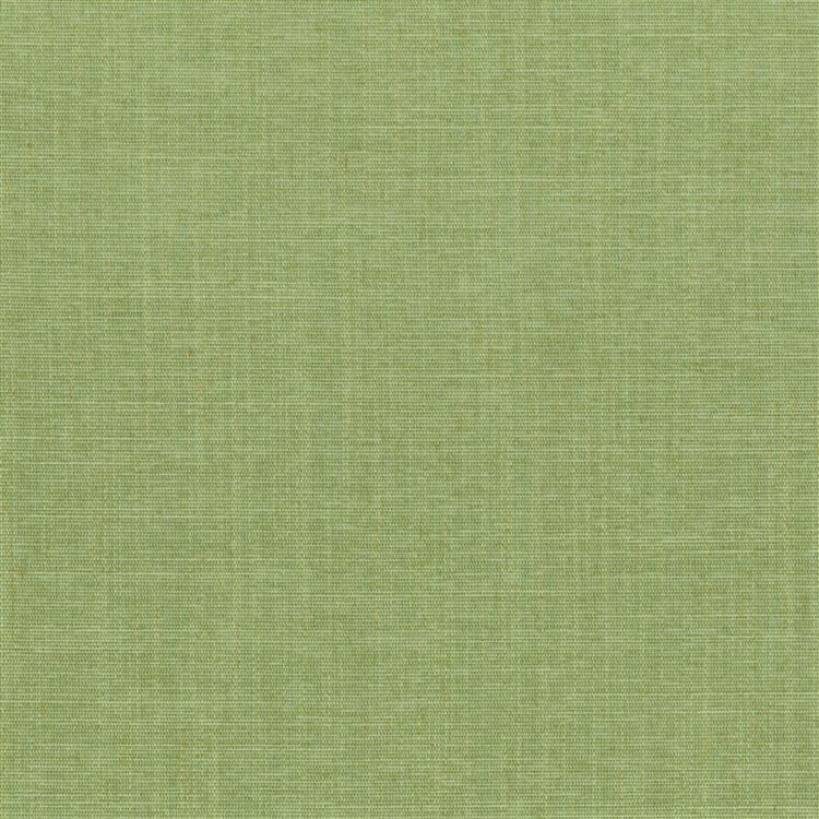 TERRA -