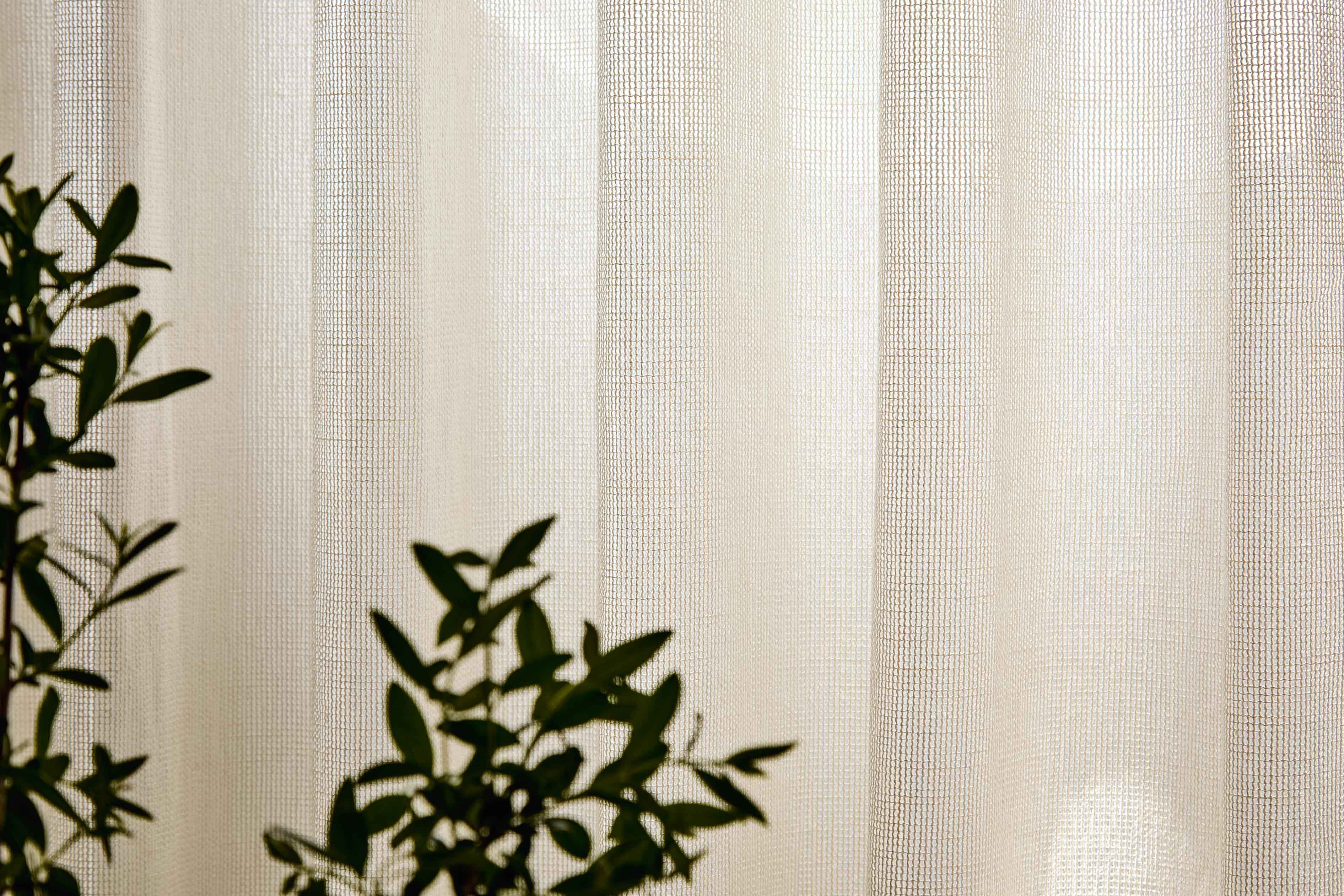 Zdjęcie galerii nr 5