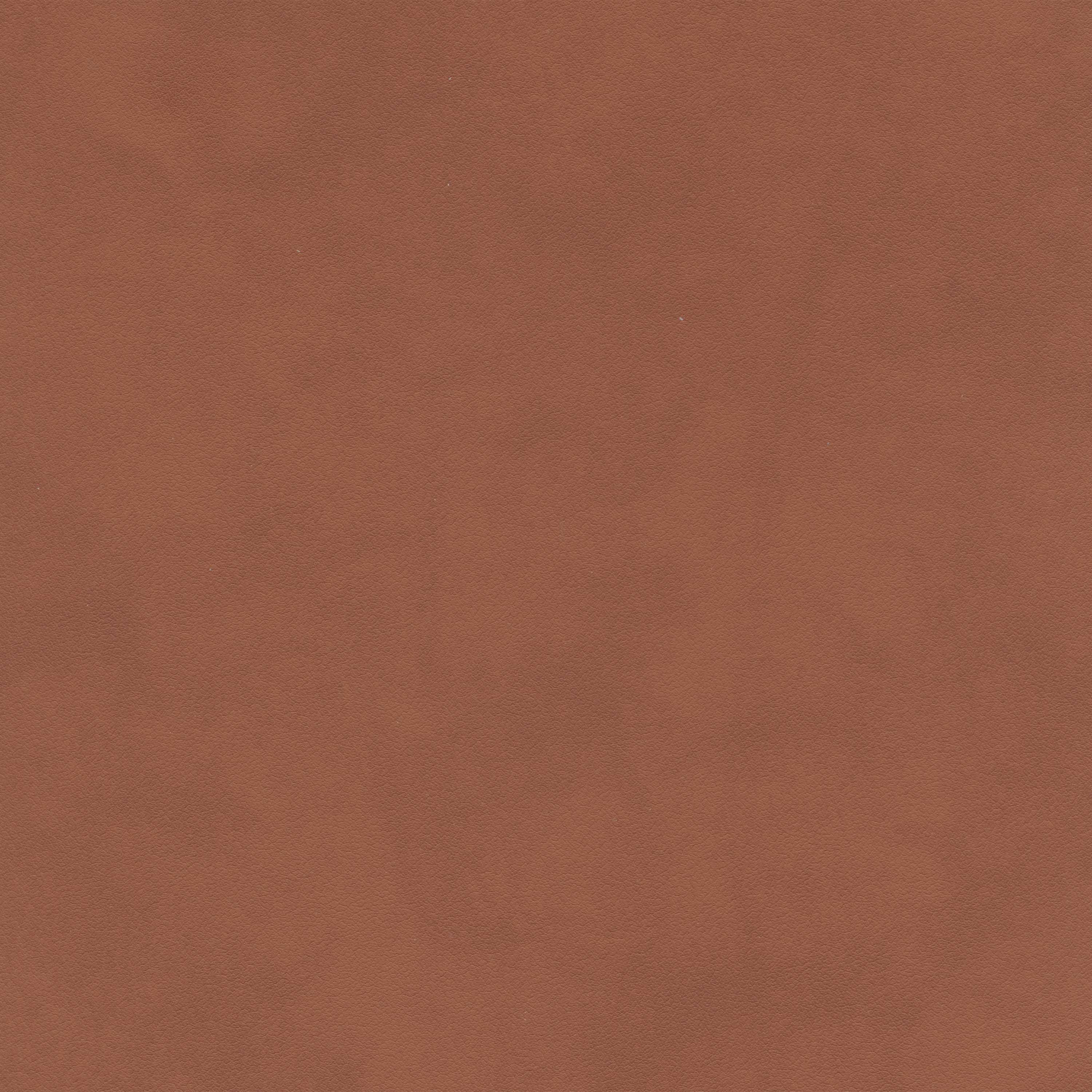 TANAMI