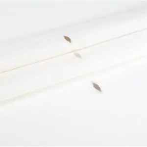 Zdjęcie galerii nr 2