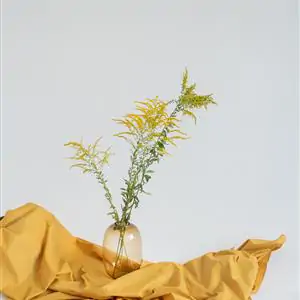 Zdjęcie galerii nr 4