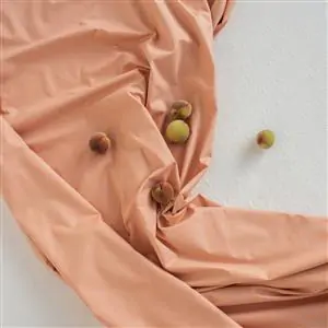 Zdjęcie galerii nr 2