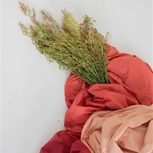 Zdjęcie galerii nr 3