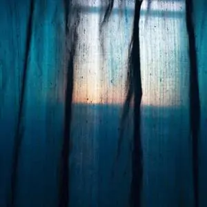 Zdjęcie galerii nr 7