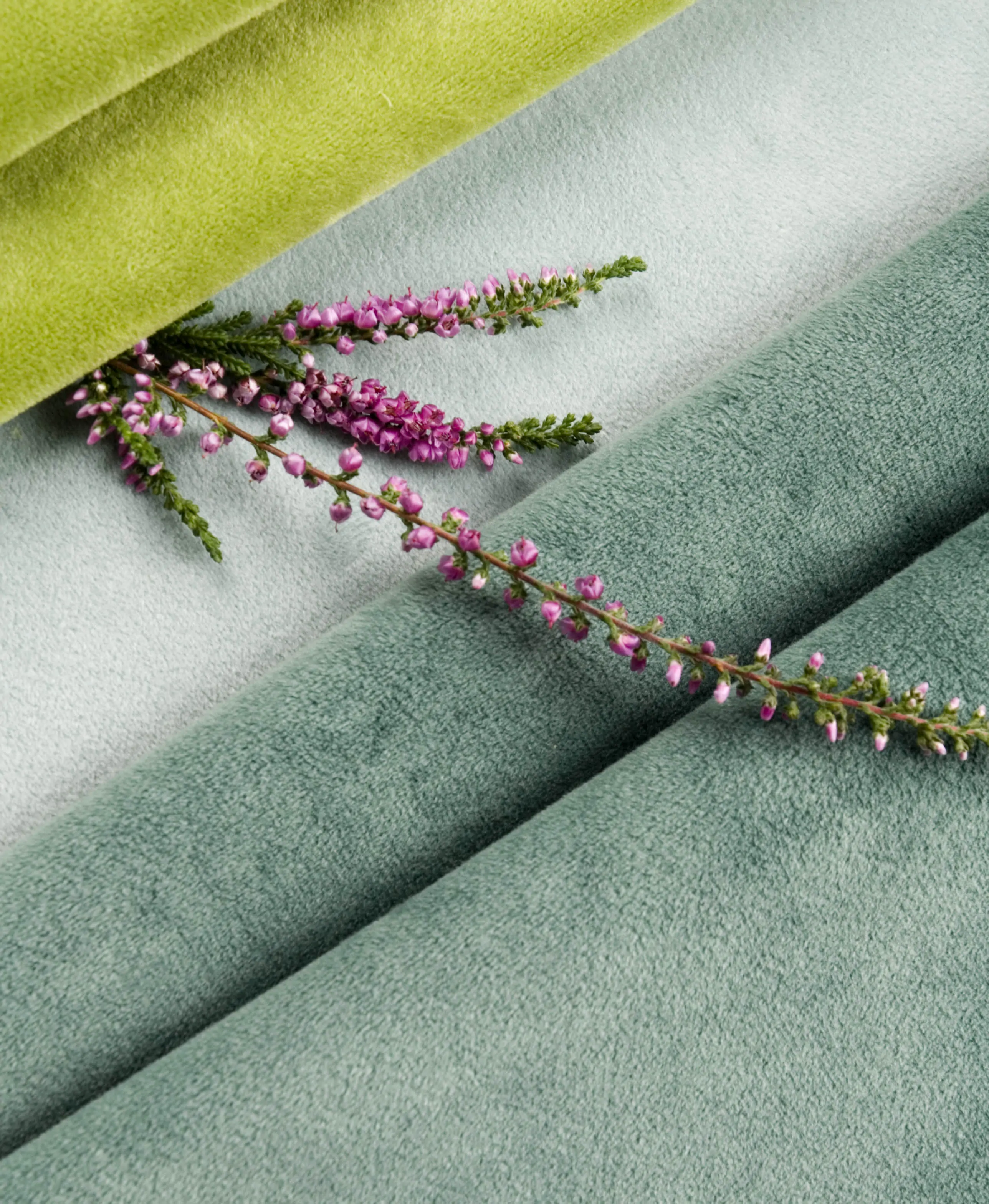 Zdjęcie galerii nr 3